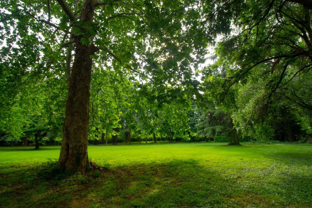 نيرفيانو B & B Villa Dell'Usignolo المظهر الخارجي الصورة